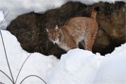 BWald 19-02-05 1926   Photos ACG 2018