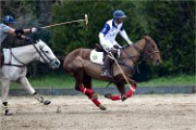 Polo Apremont 19-03-24 061   Photos ACG 2018