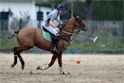 Polo Apremont 19-03-24 108   Photos ACG 2018