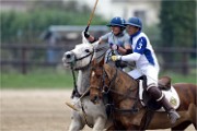 Polo Apremont 19-03-24 114   Photos ACG 2018
