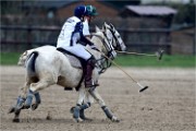 Polo Apremont 19-03-24 213   Photos ACG 2018