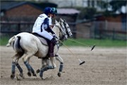 Polo Apremont 19-03-24 214   Photos ACG 2018