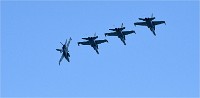 Frisian Flag 19-04-08 4756   Photos ACG 2018