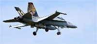 Frisian Flag 19-04-08 4827   Photos ACG 2018