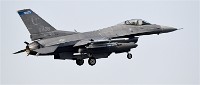Frisian Flag 19-04-09 1174   Photos ACG 2018