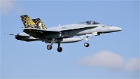 Frisian Flag 19-04-09 625   Photos ACG 2018