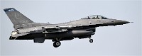 Frisian Flag 19-04-09 954   Photos ACG 2018