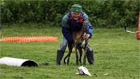 Levriers 19-04-27 139   Photos ACG 2019