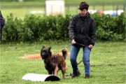 Levriers 19-04-27 211   Photos ACG 2019