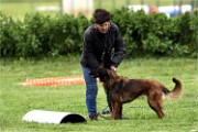 Levriers 19-04-27 214   Photos ACG 2019