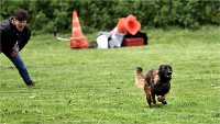 Levriers 19-04-27 221   Photos ACG 2019