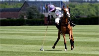 Polo Apremont 19-05-12 247   Photos ACG 2018