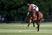 Polo Apremont 19-05-12 312   Photos ACG 2018