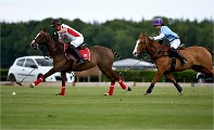 Polo Apremont 19-05-12 602   Photos ACG 2018