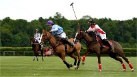Polo Apremont 19-05-12 624   Photos ACG 2018
