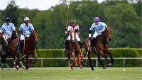 Polo Apremont 19-05-12 656   Photos ACG 2018