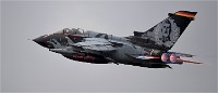 NTM MT M 19-05-17 1669   Photos ACG 2019