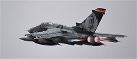 NTM MT M 19-05-17 1677   Photos ACG 2019
