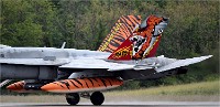 NTM MT M 19-05-17 2081   Photos ACG 2019