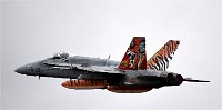 NTM MT M 19-05-17 3442   Photos ACG 2019