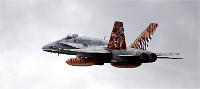 NTM MT M 19-05-17 3447   Photos ACG 2019
