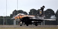 NTM MT M 19-05-17 3991   Photos ACG 2019