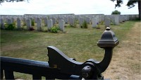 Phoques Berck 19-05-31 004   Photo ACG 2018