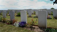 Phoques Berck 19-05-31 008   Photo ACG 2018