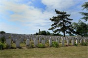 Phoques Berck 19-05-31 016   Photo ACG 2018