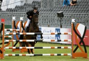 Jumping Chantill 19-07-12 0487   Photos ACG 2019