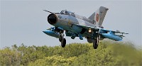 Air Tatool 19-07-18 10526   Photos ACG 2019