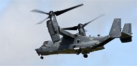 Air Tatool 19-07-20 05781   Photos ACG 2019