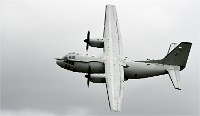 Air Tatool 19-07-21 00052   Photos ACG 2019