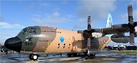 Air Tatool 19-07-20 05002   Photos ACG 2019