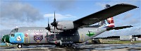 Air Tatool 19-07-20 05005   Photos ACG 2019