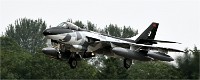 Air Tatool 19-07-17 08401   Photos ACG 2019
