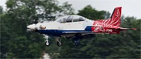 Air Tatool 19-07-17 08519   Photos ACG 2019