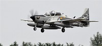 Air Tatool 19-07-17 08530   Photos ACG 2019