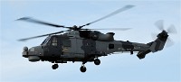 Air Tatool 19-07-18 10980   Photos ACG 2019