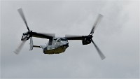 Air Tatool 19-07-20 05661   Photos ACG 2019