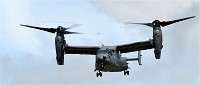 Air Tatool 19-07-20 05747   Photos ACG 2019