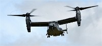 Air Tatool 19-07-20 05761   Photos ACG 2019