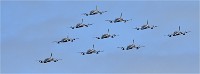 Air Tatool 19-07-20 06586   Photos ACG 2019