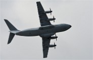 Air Tatool 19-07-20 07378   Photos ACG 2019