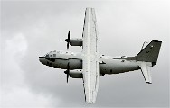 Air Tatool 19-07-21 00055   Photos ACG 2019