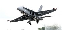 Air Tatool 19-07-21 00389   Photos ACG 2019