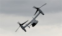 Air Tatool 19-07-21 01839   Photos ACG 2019