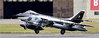 Air Tatool 19-07-22 03038   Photos ACG 2019