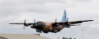 Air Tatool 19-07-22 03142   Photos ACG 2019