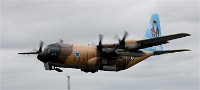 Air Tatool 19-07-22 03149   Photos ACG 2019